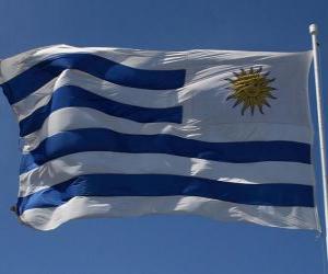yapboz Uruguay bayrağı